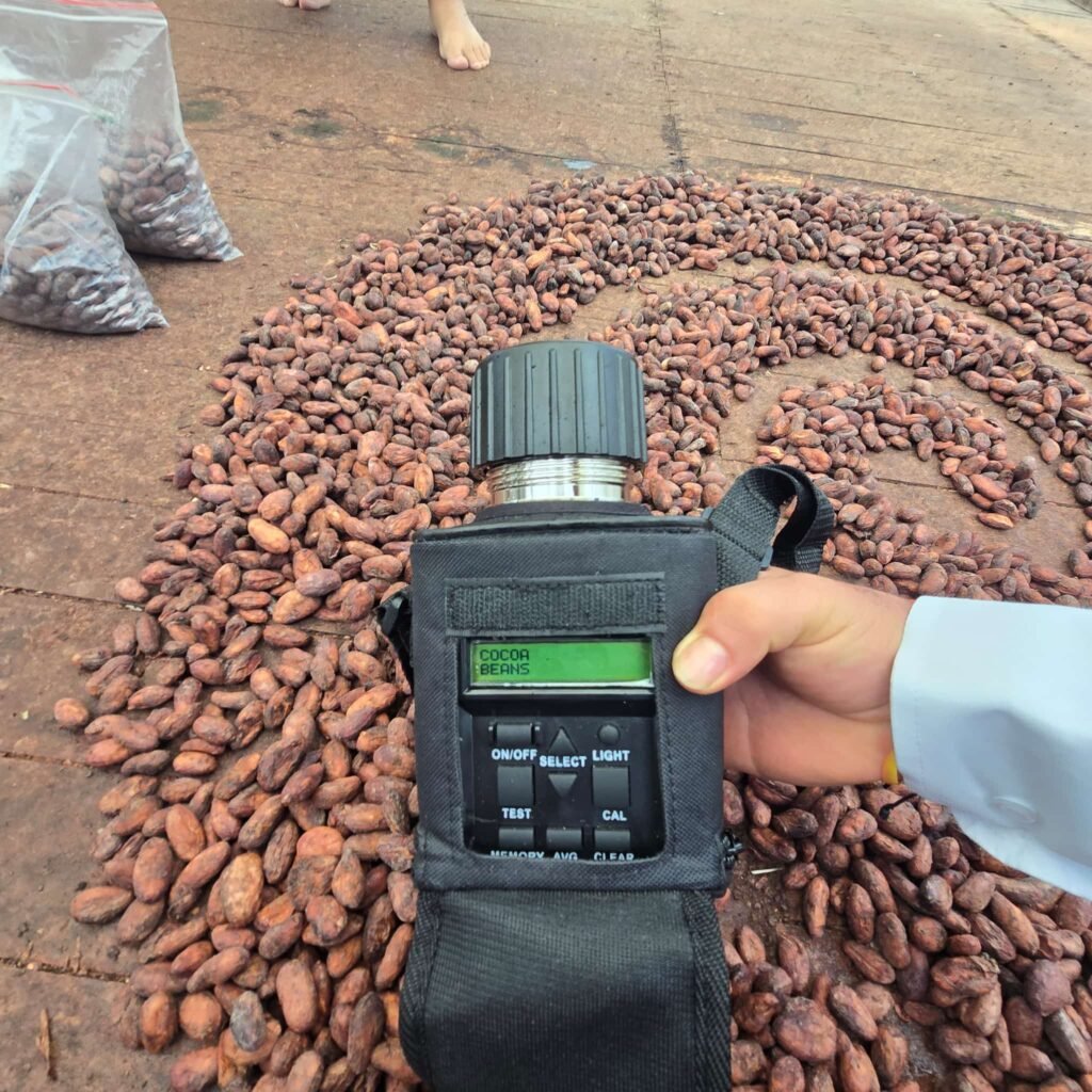 cacao humdity