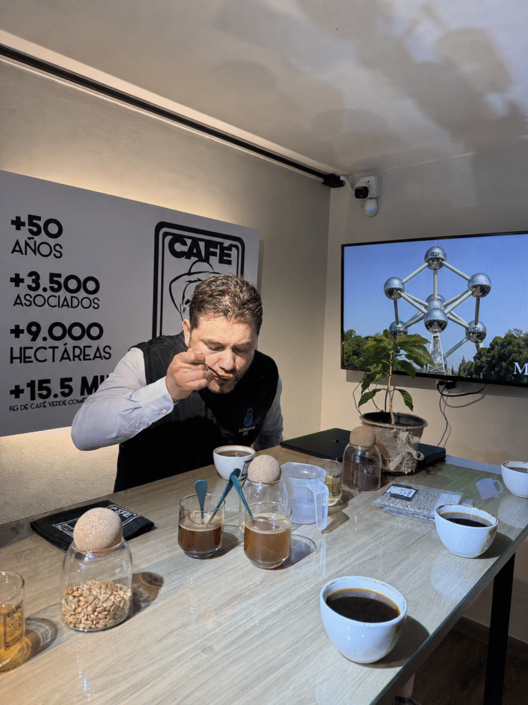 cata colcafe oscar
